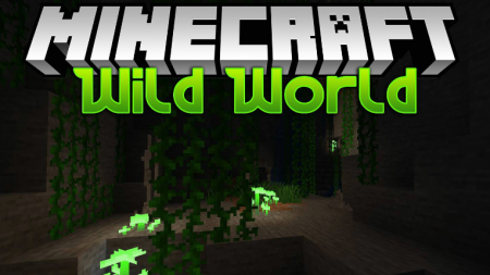  Wild World  Minecraft 1.15.2