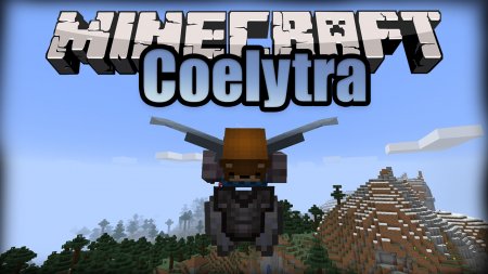  Coelytra  Minecraft 1.16