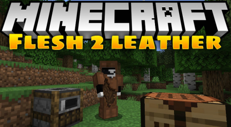  Flesh 2 Leather  Minecraft 1.16