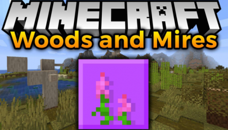  Woods and Mires  Minecraft 1.16