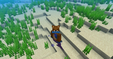  Mermaid Tail  Minecraft 1.15.2