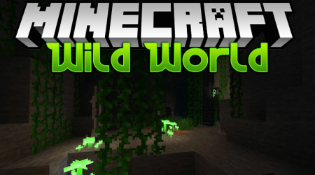  Wild World  Minecraft 1.16