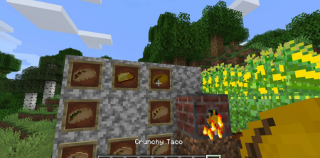  TacoCraft  Minecraft 1.16