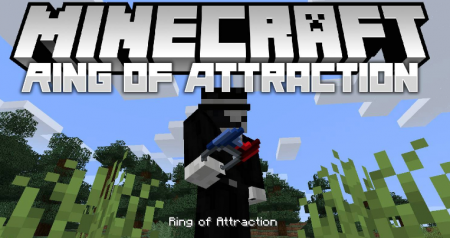  Ring of Attraction  Minecraft 1.16.1