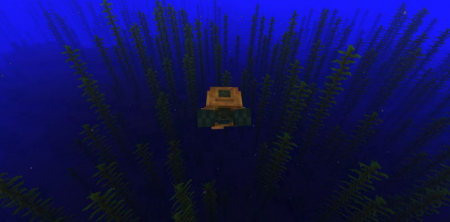  Scuba Gear  Minecraft 1.16.1