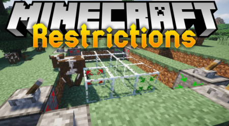  Restrictions  Minecraft 1.15.2