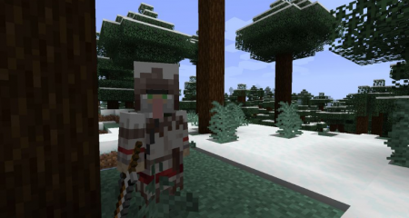  Wandering Trapper  Minecraft 1.16