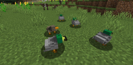  Duck  Minecraft 1.15