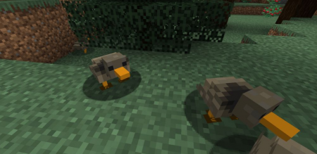  Duck  Minecraft 1.15