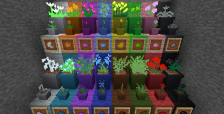  Terraqueous  Minecraft 1.15.2