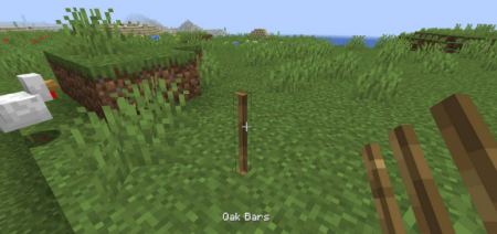  Additional Bars  Minecraft 1.16.1