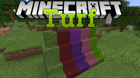  Turf  Minecraft 1.16.1