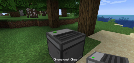  DimStorage  Minecraft 1.16.3