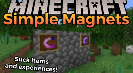  Simple Magnets  Minecraft 1.16.3