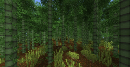  Biomes O Plenty  Minecraft 1.14.3