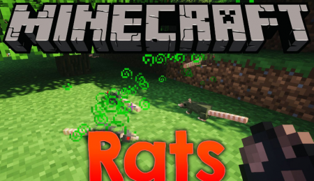  Rats  Minecraft 1.16.1