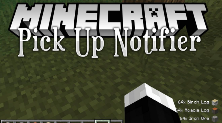  Pick Up Notifier  Minecraft 1.16
