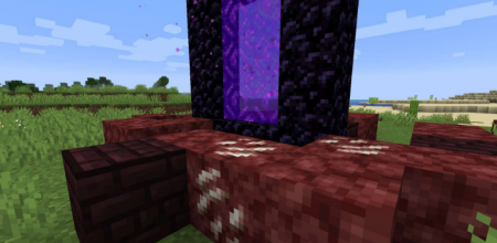  Nether Portal Spread  Minecraft 1.16.2