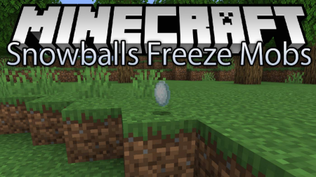  Snowballs Freeze Mobs  Minecraft 1.16.2