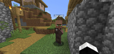  Villager Names  Minecraft 1.16.2