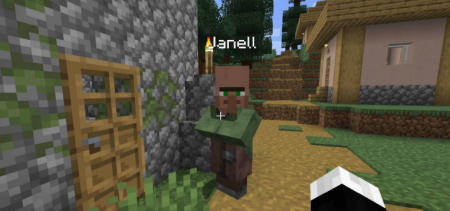  Villager Names  Minecraft 1.16.2