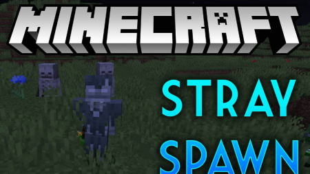  Stray Spawn  Minecraft 1.16.2