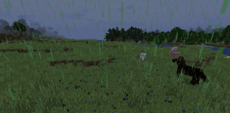  Better Weather  Minecraft 1.16.3
