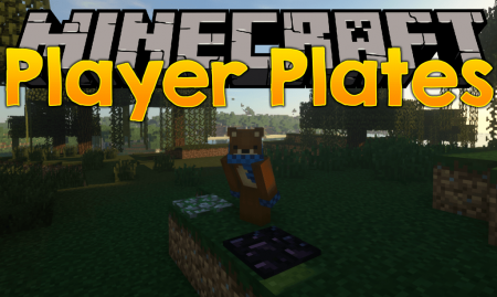  Player Plates  Minecraft 1.16.1