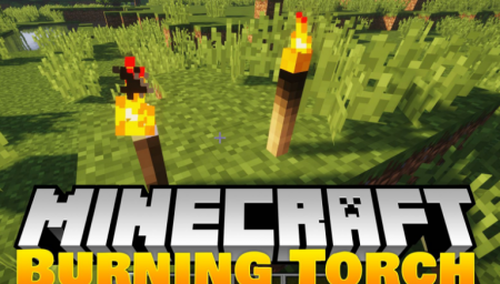  Burning Torches  Minecraft 1.16.3