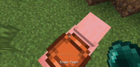  Mounted Pearl  Minecraft 1.16.2
