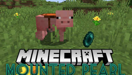  Mounted Pearl  Minecraft 1.16.3