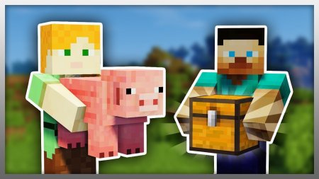  Carry On  Minecraft 1.16.3