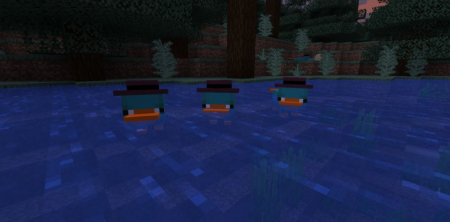  Platypus  Minecraft 1.16