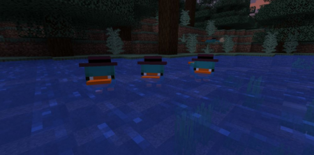  Platypus  Minecraft 1.16.1