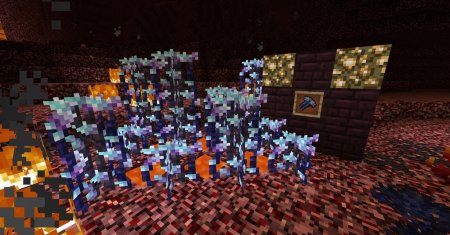  Better Nether  Minecraft 1.16.1