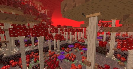  Better Nether  Minecraft 1.16.3