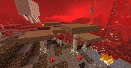  Better Nether  Minecraft 1.16.3