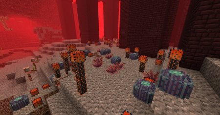  Better Nether  Minecraft 1.16.3