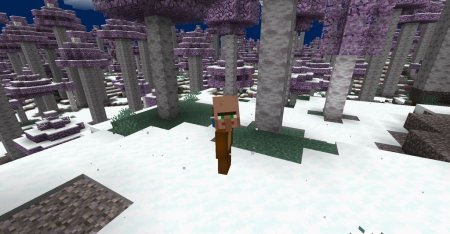  Spooky Stuff  Minecraft 1.16.2