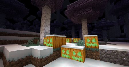  Spooky Stuff  Minecraft 1.16.2