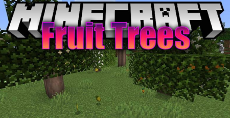  Fruit Trees  Minecraft 1.16.1