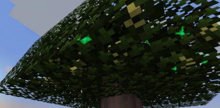  Fruit Trees  Minecraft 1.16.1