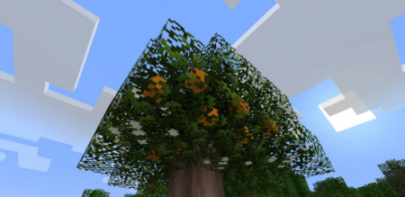  Fruit Trees  Minecraft 1.16.1