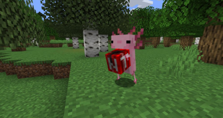  Axolotls  Minecraft 1.15