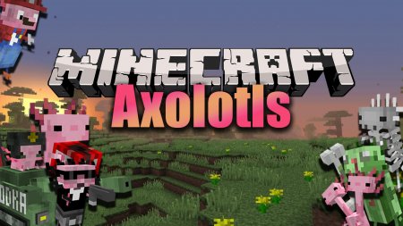  Axolotls  Minecraft 1.15