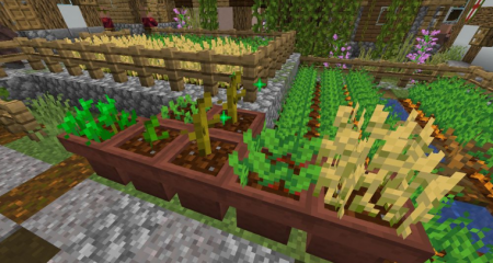  Supplementaries  Minecraft 1.15.2