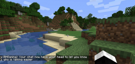  Chat Heads  Minecraft 1.16.2