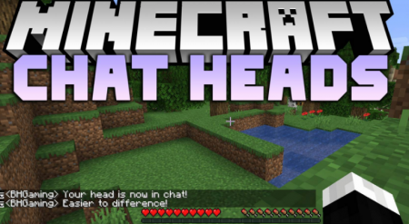  Chat Heads  Minecraft 1.16.2