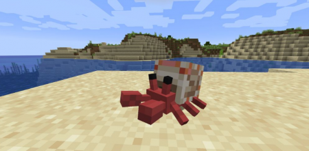  Cute Hermit Crabs  Minecraft 1.16