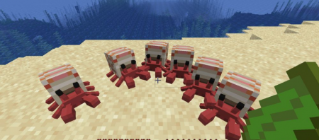  Cute Hermit Crabs  Minecraft 1.16